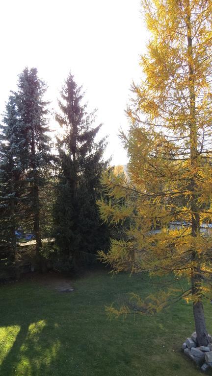 V+V Pension Harrachov Exteriér fotografie
